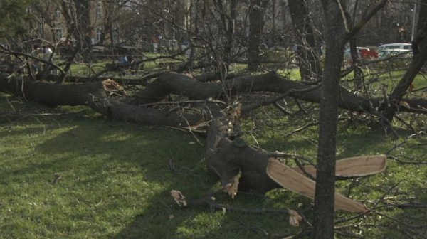 Ураганен вятър нанесе множество щети във Враца
