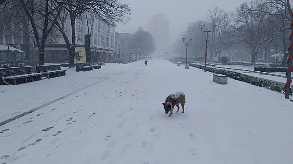 Жълт код: Студ и ледени дни в цяла България