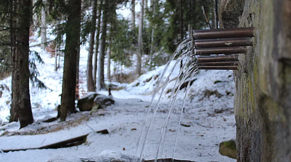 Край яз. Доспат – тишина, сняг и чешмите с живот, оставени за следващия