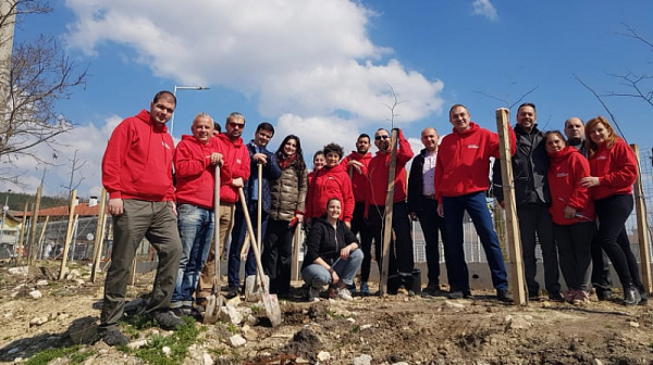 БСП-Варна засади 40 дръвчета във „Виница“