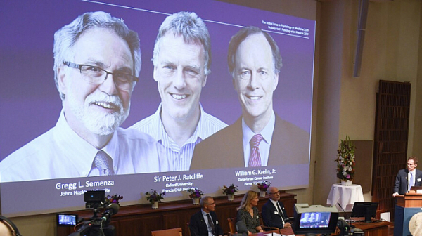 Трима са лауреатите на Нобеловата награда за медицина