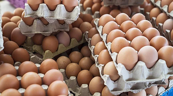 Българските птицевъди: Вносът от Меркосур ще бъде пагубен за нашия сектор