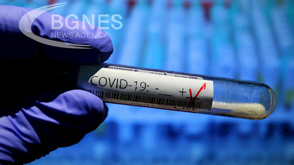 6 са новите случаи на коронавирус у нас, в болници за лечение остават 140 пациенти