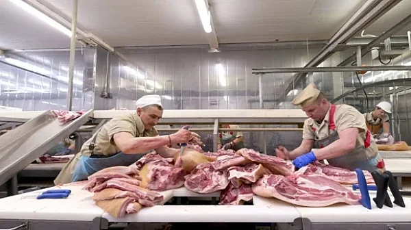 Откриха незаконни кланици и в Кърджалийско