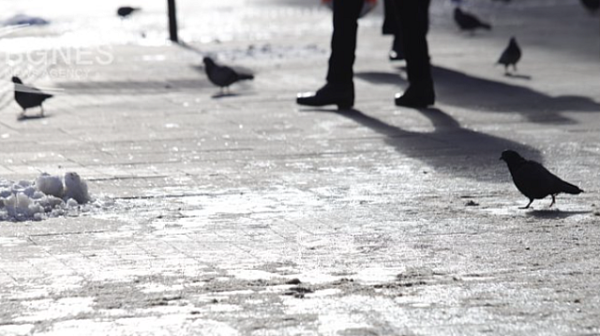 Борис Бонев обвини ГЕРБ за леда по тротоарите в София