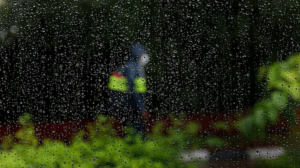 Студено и мъгливо, с постепенно затопляне и валежи към края на седмицата