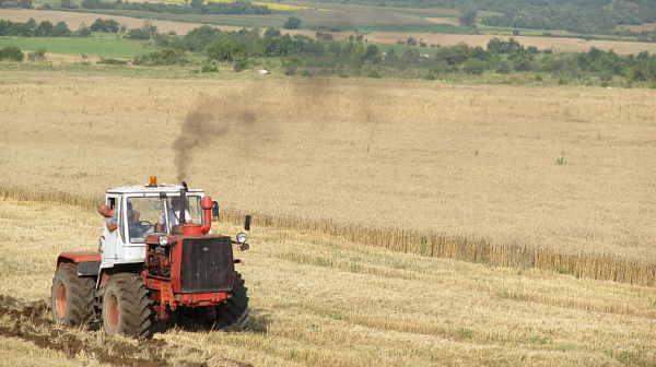 Наши зърнопроизводители: Зърно от Украйна с неизяснено качество се смесва с родно