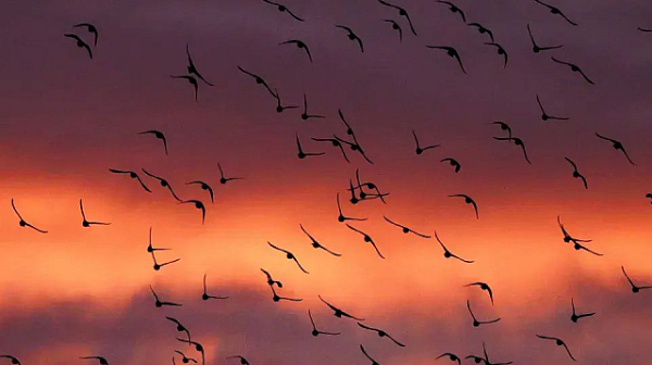 Слънчева декемврийска сряда, температури 10°-13°