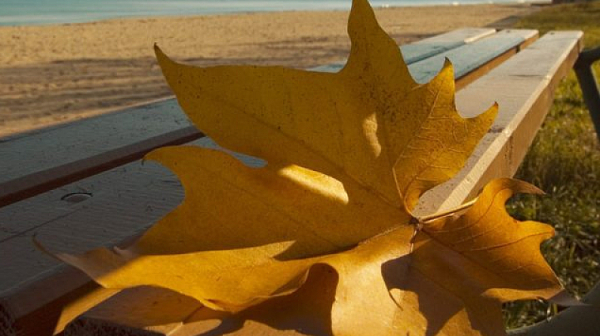 Леко по-топъл петък, температури 11° - 16°