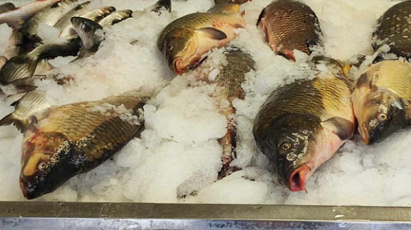 Преди Никулден: търговците на риба да се стягат за проверки