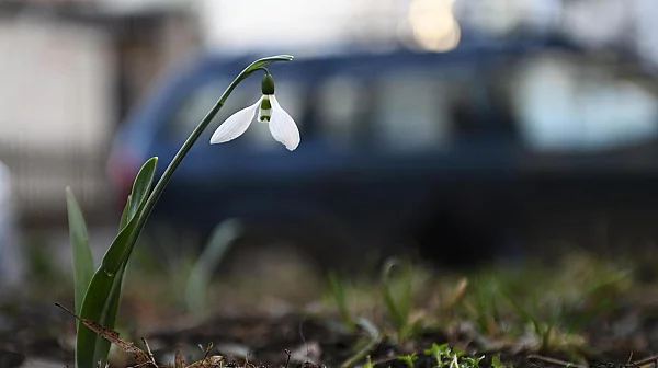 Времето днес: Ветровит, но топъл петък