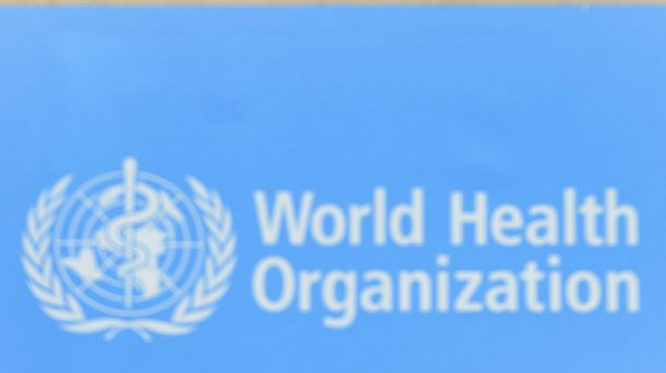 СЗО: Маймунската шарка представлява умерен риск за глобалното здраве