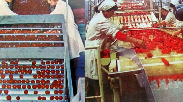 Продават легендата на социализма завод 