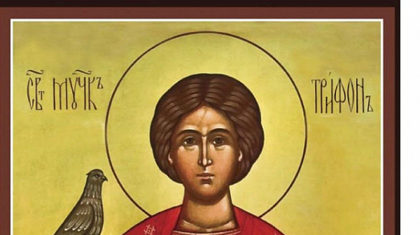 Църквата почита паметта на Св. мъченик Трифон
