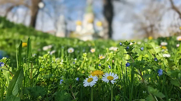 Слънчева и топла сряда