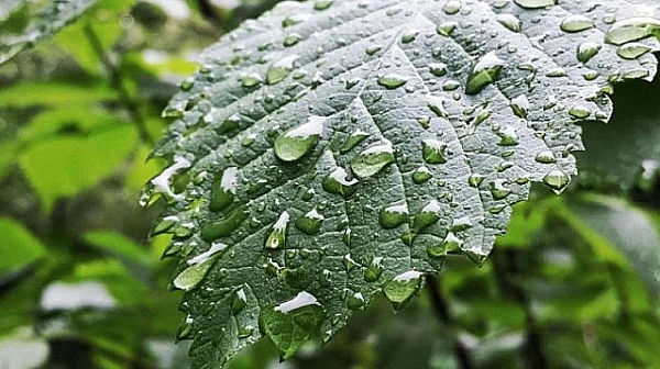 Валежи в половин България, температури между 4° и 9°