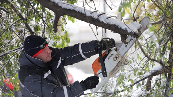 Минусовите температури, обледяванията и падналите дървета затрудняват работата на дежурните екипи