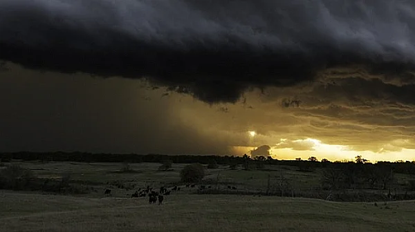 От студени вълни до 40-градусови жеги: Поредица климатични бедствия в България през 2025 г.
