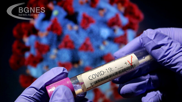 26 са новорегистрираните случаи на коронавирус у нас