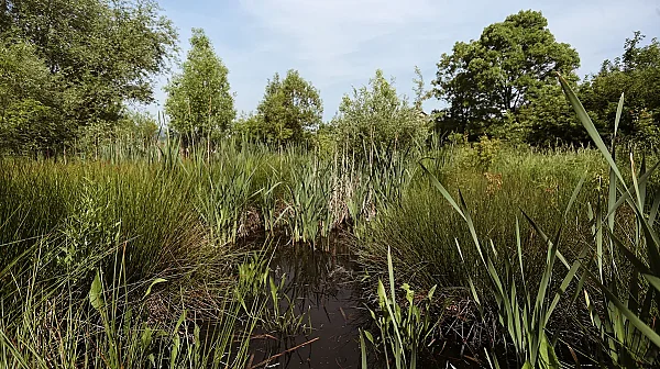 Спират строителството на Боянското блато