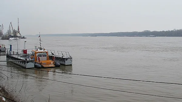 Мазни петна и загинал къдроглав пеликан по Дунав вдигнаха на крак експертите