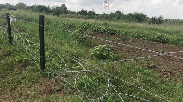 15 предупредителни изтрела и незаконна сеч: Румънец е тежко прострелян, български полицай - ударен с резачка /обновена/