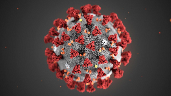Откритият във Великобритания нов коронавирус може да бъде овладян, твърди СЗО