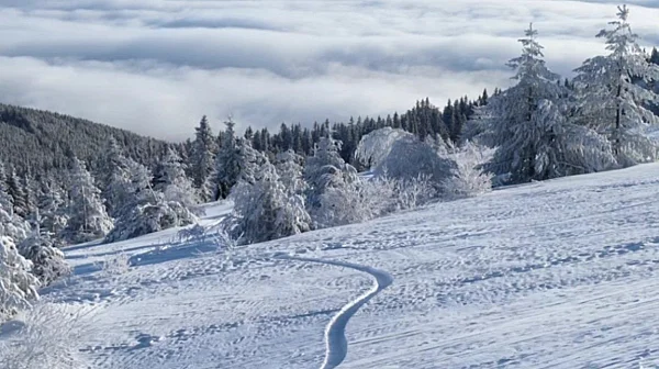 С нощно каране започва ски сезонът на писта „Витошко лале 1“ довечера