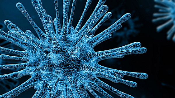 Световната икономика може да загуби над 1 трилион долара заради коронавируса
