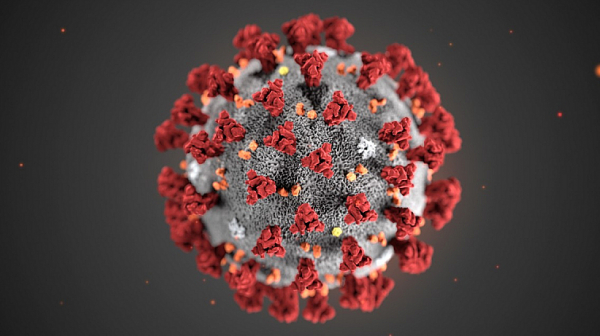 От СЗО посочиха Швеция като модел за следване в борбата с коронавируса