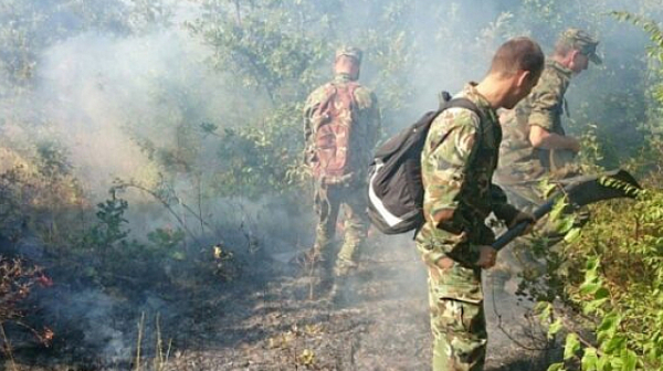 Над 2120 военнослужещи с 426 единици техника са участвали в гасенето на пожарите