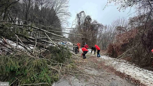 Спасителна акция на Витоша: Издирват жена, сигналите я „пращат“ в различни посоки