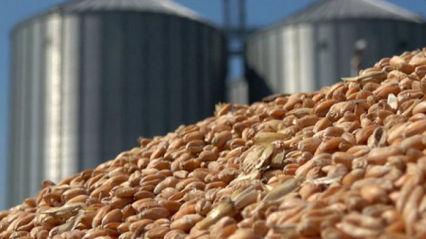 Румъния ще удвои капацитета на Констанца за износ на украинско зърно