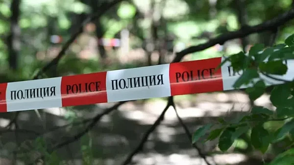 Експертиза: Две мечки са убили мъжа, открит мъртъв на Витоша