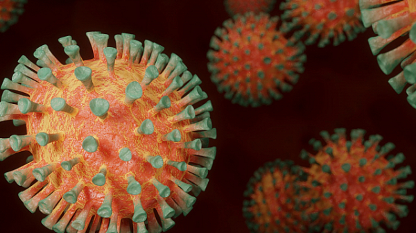 337 са новите случаи на коронавирус