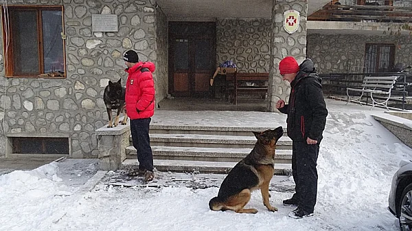 42-годишна прекара нощта в гората при ледени температури – спасиха я в последния момент