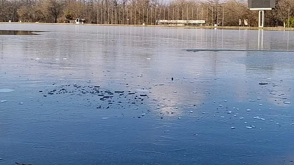 Спасиха жена, паднала в Гребния канал в Пловдив