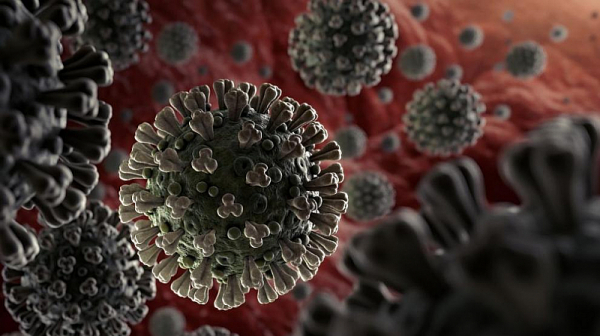 Отново над 3 100 нови случаи на коронавирус, починали са 201 души