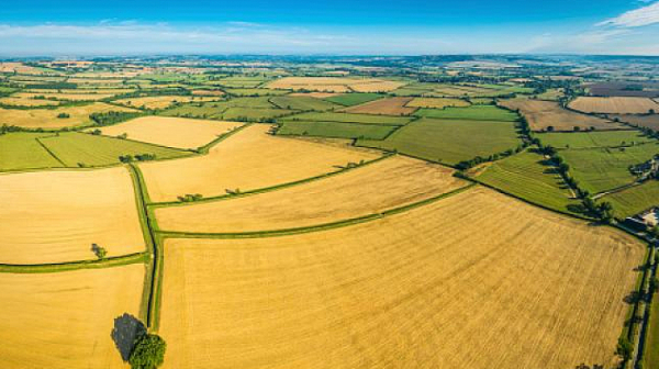 Три милиона българи под заплаха заради нови правила за наем на земя