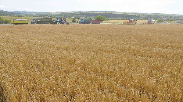 България и други страни в ЕС ще искат друг регламент за безмитния внос на зърно от Украйна