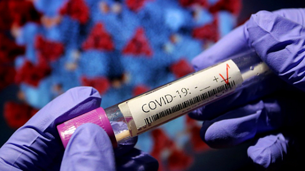 2462 са новите случаи на коронавирус у нас