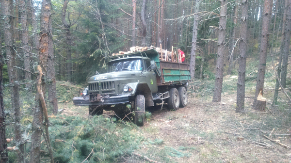 Шофьор на камион скочи в движение, удрят го дърва за огрев