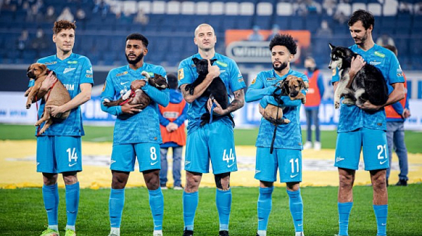Мил жест: Футболистите на ”Зенит” покровителстват бездомни животни