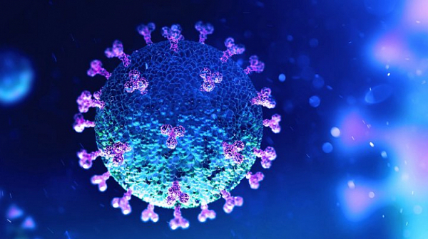 Германските власти с подробности за първия случай на новия щам на коронавируса в страната