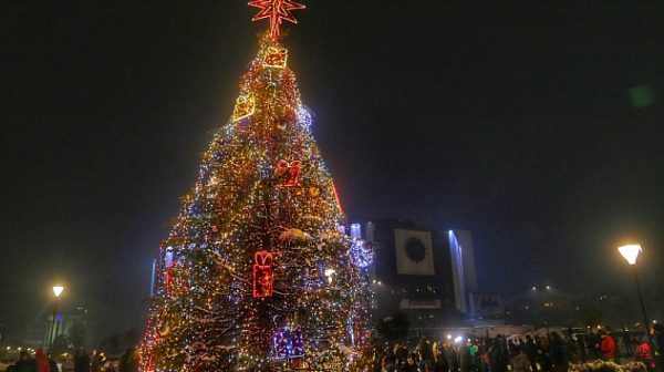 Коледната елха в София заблестява днес в нова премяна