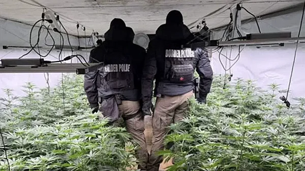 Разбиха модерна наркооранжерия в Луково, задържаха издирван от Интерпол