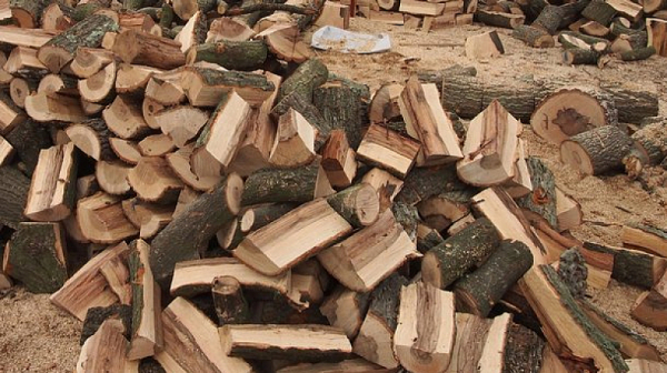 България спира износа на дърва за трети страни