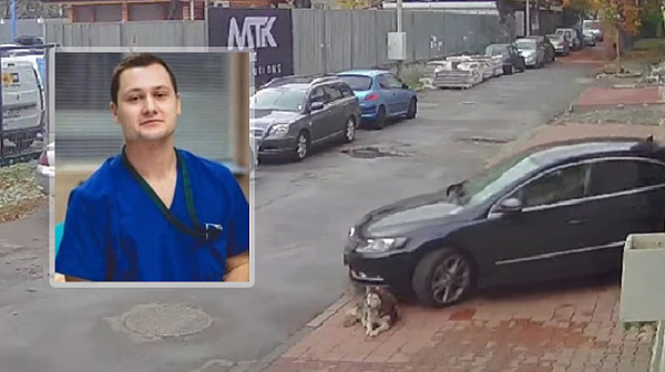 Въпреки острото обществено възмущение: ВМА няма да уволни д-р Ненад Цоневски за смъртта на Мая