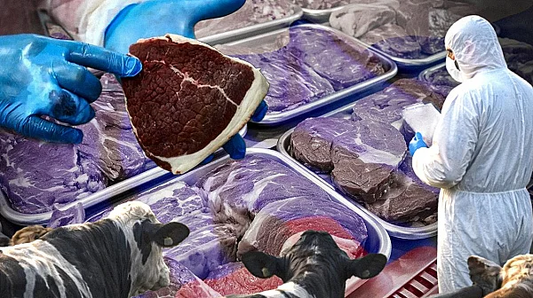 Шап за износ: Русия коли добитък и продава замърсено месо по света