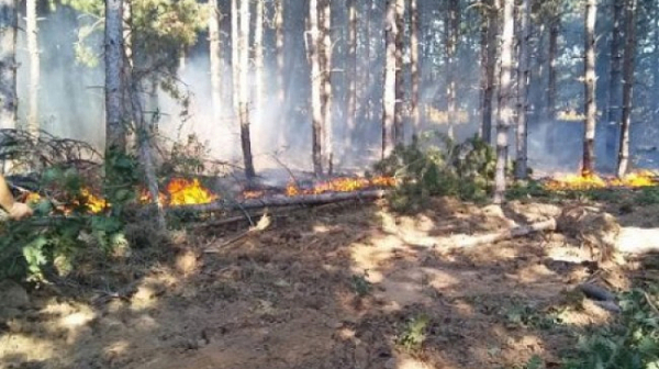 Локализиран е новият пожар в Сакар планина. Няма опасност за жителите в района